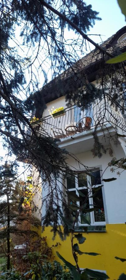 Mountain Villa View Apartment Jelenia Gora Exterior photo